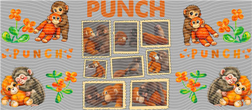 16oz Latest Bestseller-C 8276